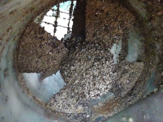 1981 ブルンボール SPX VP 600