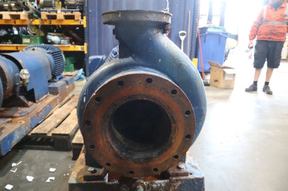 ITT Goulds Pumps 流程泵 3175