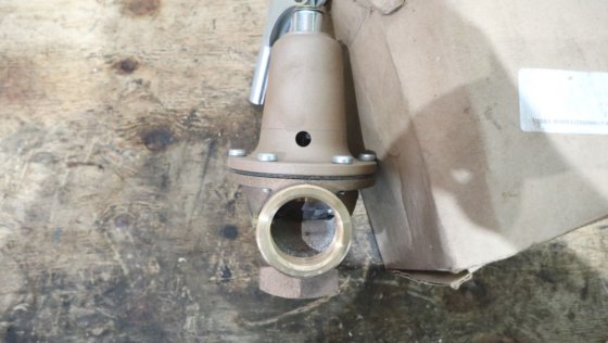 2009 瓦特安全阀 174ABZ3