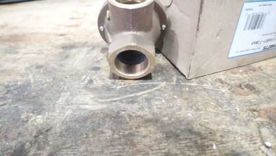 2009 瓦特安全阀 174ABZ3