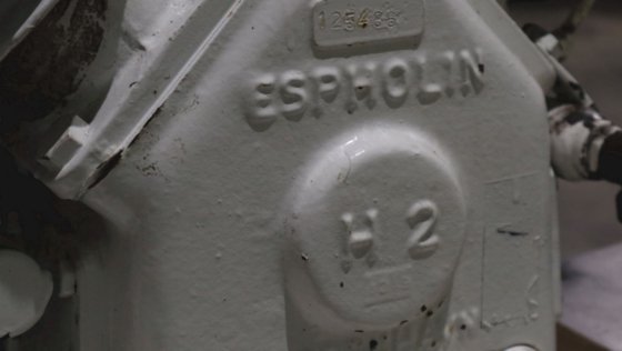 エスフォリンH2