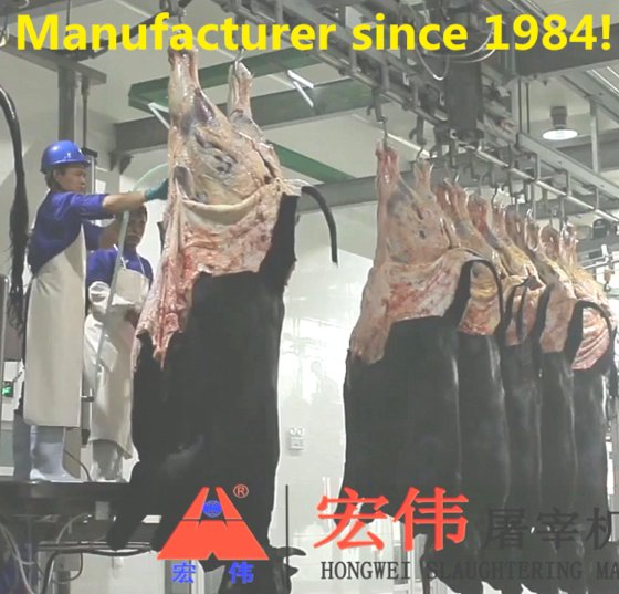 automatic abattoir slaughterhouse equipment cattle hide beef skin