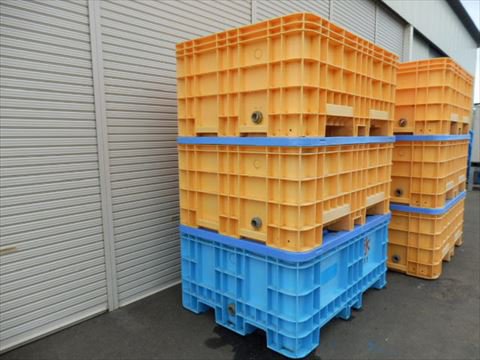 ＃1000 サンボックス