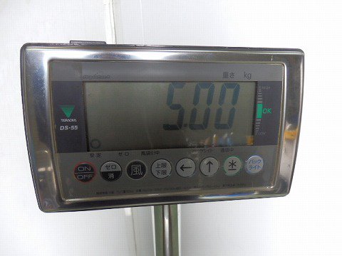 DS-55 デジタル台秤