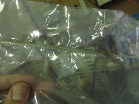 FI-300 足踏み式シーラー