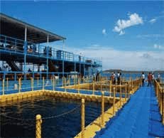 JWELLフローティングボディブロー成形機