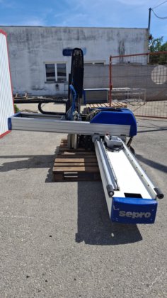 Sepro 机器人，工业机器人 #6663