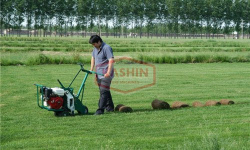 カシン KASHIN ソッドカッター / ターフカッター