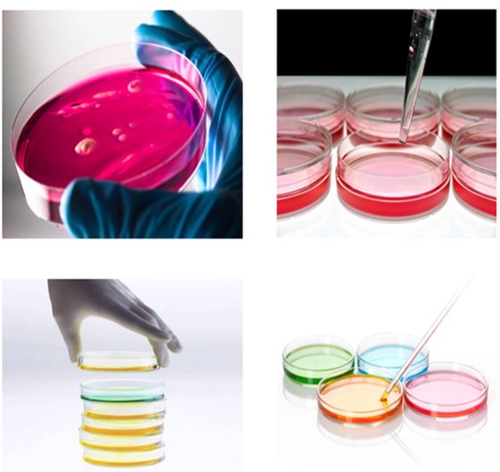 实验室耗材 培养皿