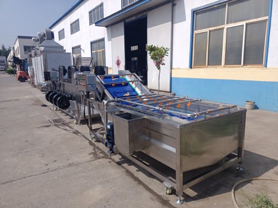 Automatic Chinese herbal medicine continuous bubble cleaning machine