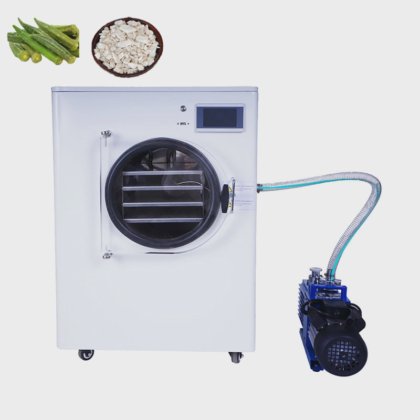 Mini Freeze Dryer for Home Lab Fruit Freeze Dryer Freeze Dryer ...