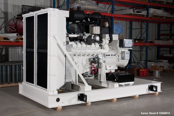 NEW- Blue Star Power Systems