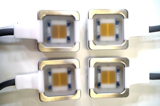 2021 デカ・カルテッサ・フィジーク