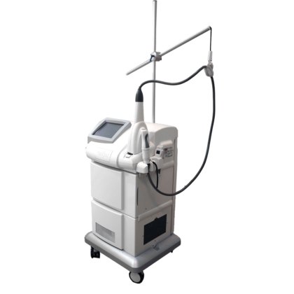 2017 パロマー・アイコン