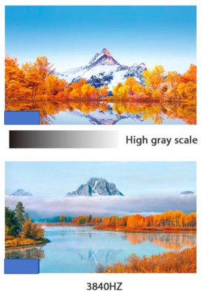 2025年古腾堡蜂巢