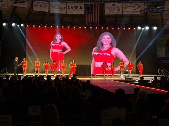 グーテンベルク蜂の巣