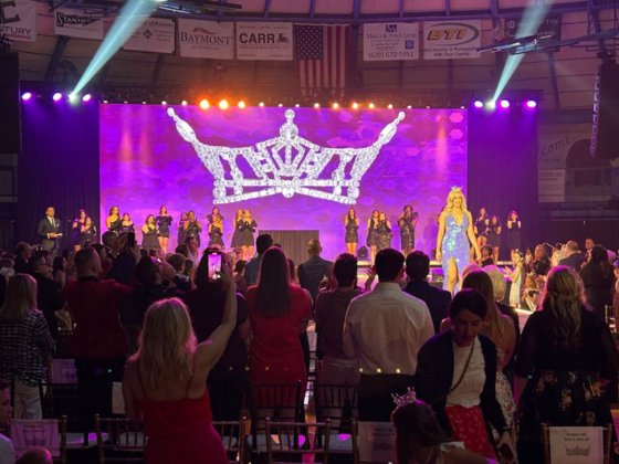 グーテンベルク蜂の巣