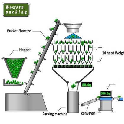 Z型バケットエレベーター豆包装機