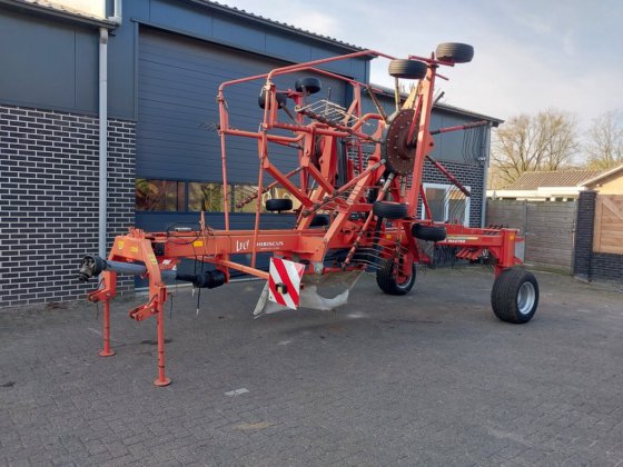 Lely Hibiscus 805 Master