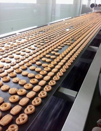 焙烤食品 钢带设备应用