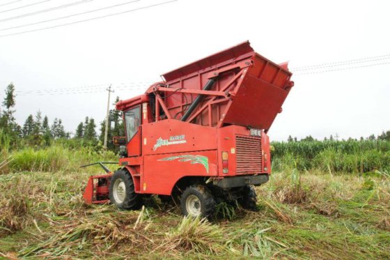 2024 顶呱呱牧童青贮饲料收获机