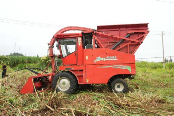 2024 顶呱呱牧童青贮饲料收获机