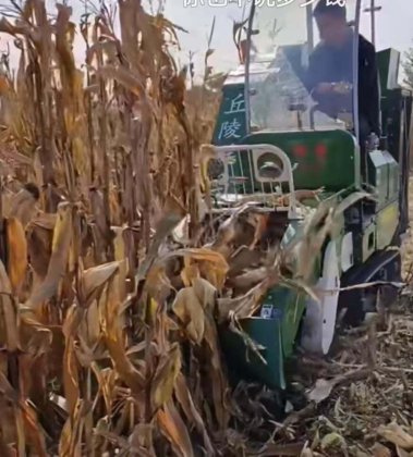 2024 丘陵悍马收割机