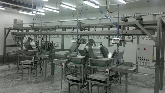 Automatic Chicken cut up line