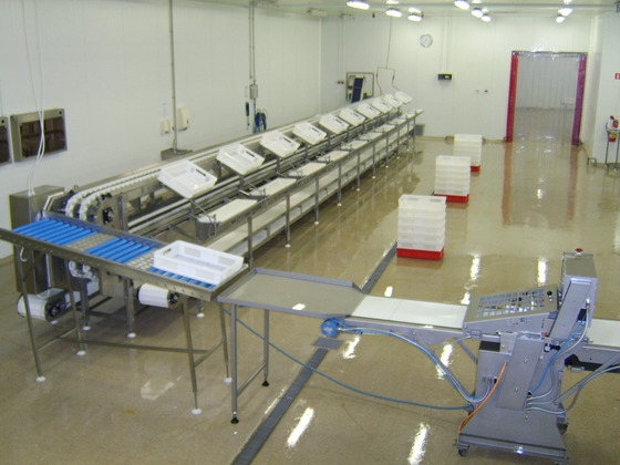 20 station fish trimming line