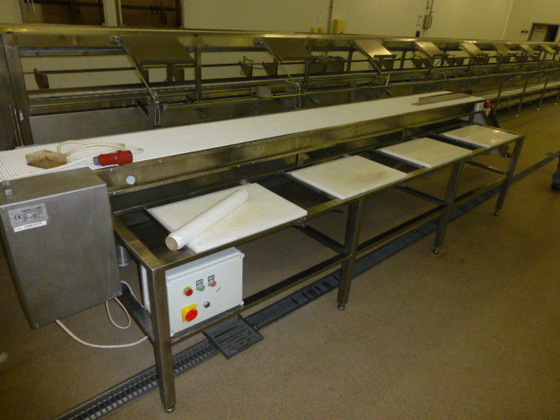 Trimming line - 8 station