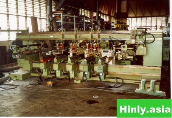 Biesse Multi-boring machine in Johor,