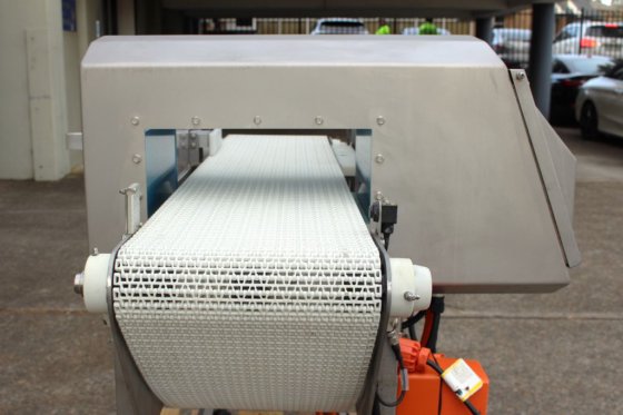 ローマ金属探知機