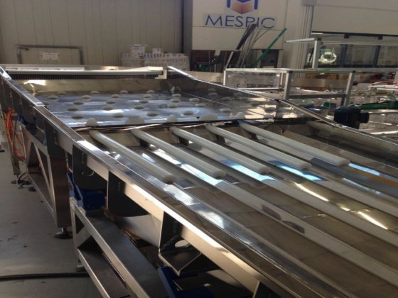 Mespic Doy パックまたはパウチの取り扱いおよび梱包システム