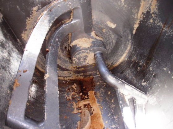 Apinox Sigma 搅拌机