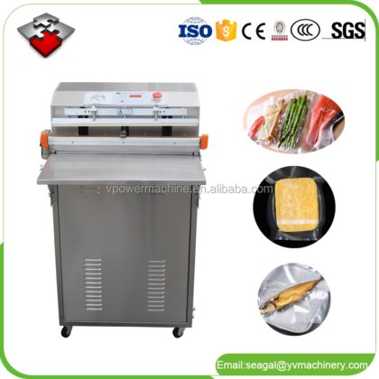 600 外抽式真空包装机 封口真空充气多功能包装机