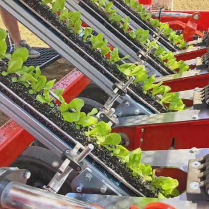 AYTOMATIC PLANTER 6 ROWS QUBIK