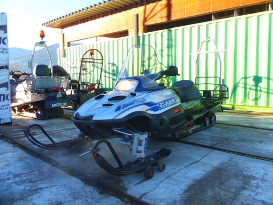 2002 Arctic Cat Bearcat 660