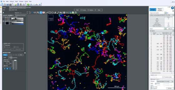 Aligent BioTek Gen5 Object Tracking