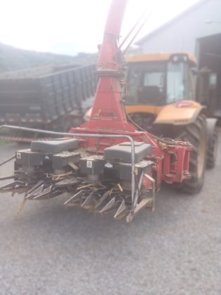 2017 Nogueira NEW PECUS DUO