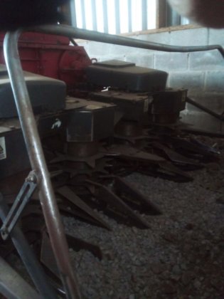 2017 Nogueira NEW PECUS DUO