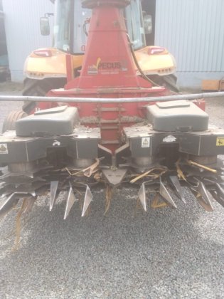 2017 Nogueira NEW PECUS DUO