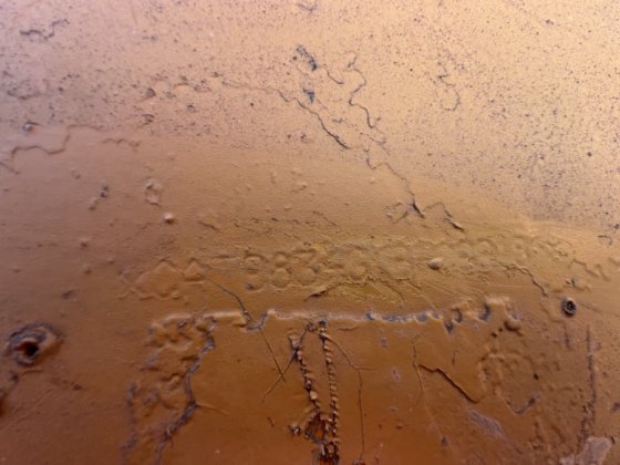 2004 Caterpillar 834G