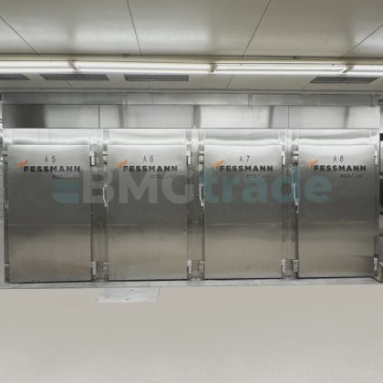 2018 FESSMANN ECO 系列熏制房