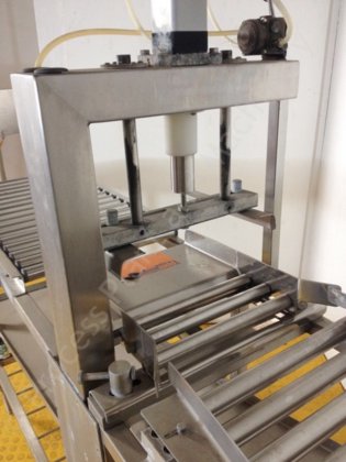 Cryovac不锈钢乳酪块装袋机