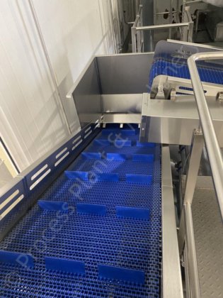 2015 Ambit 不锈钢水果清洗系统 - 年份