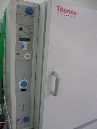 贺利氏 B6200 培养箱 70°C