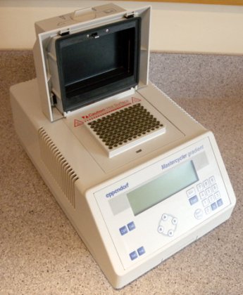 Eppendorf Mastercycler 梯度仪 5331
