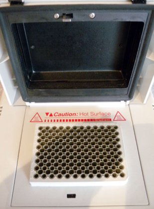 Eppendorf Mastercycler 梯度仪 5331