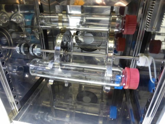 GFL 杂交培养箱 7601