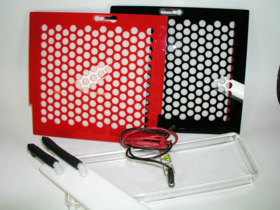 Thermo Scientific 猫头鹰 VEP-3 大型槽式电印迹系统